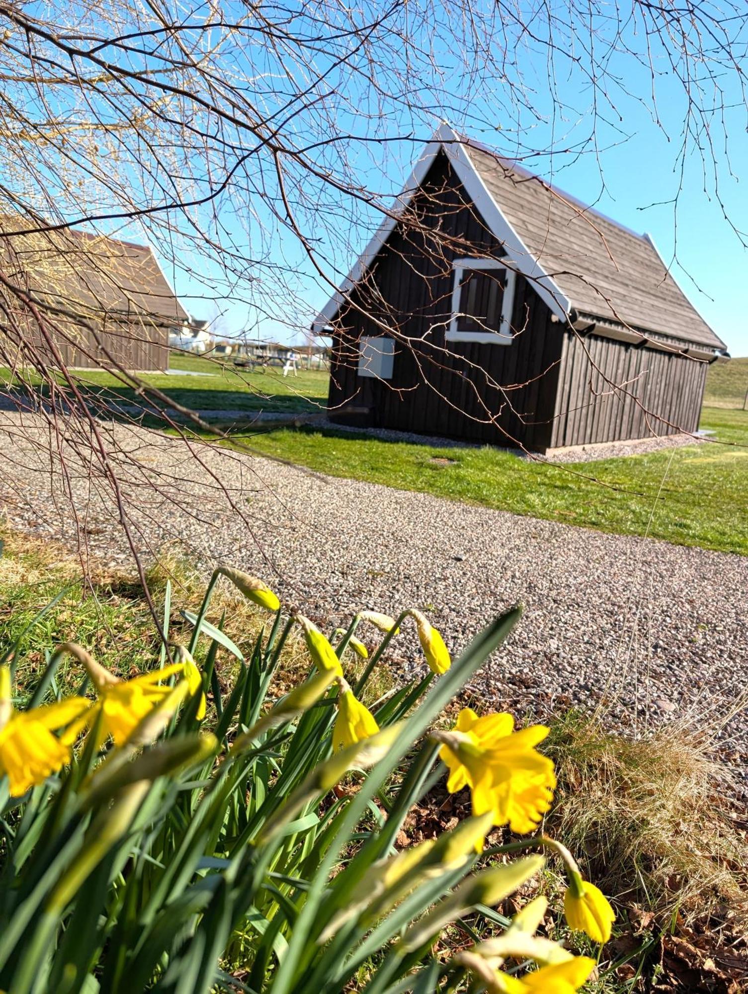 Macbeth'S Hillock Villa Forres Eksteriør billede