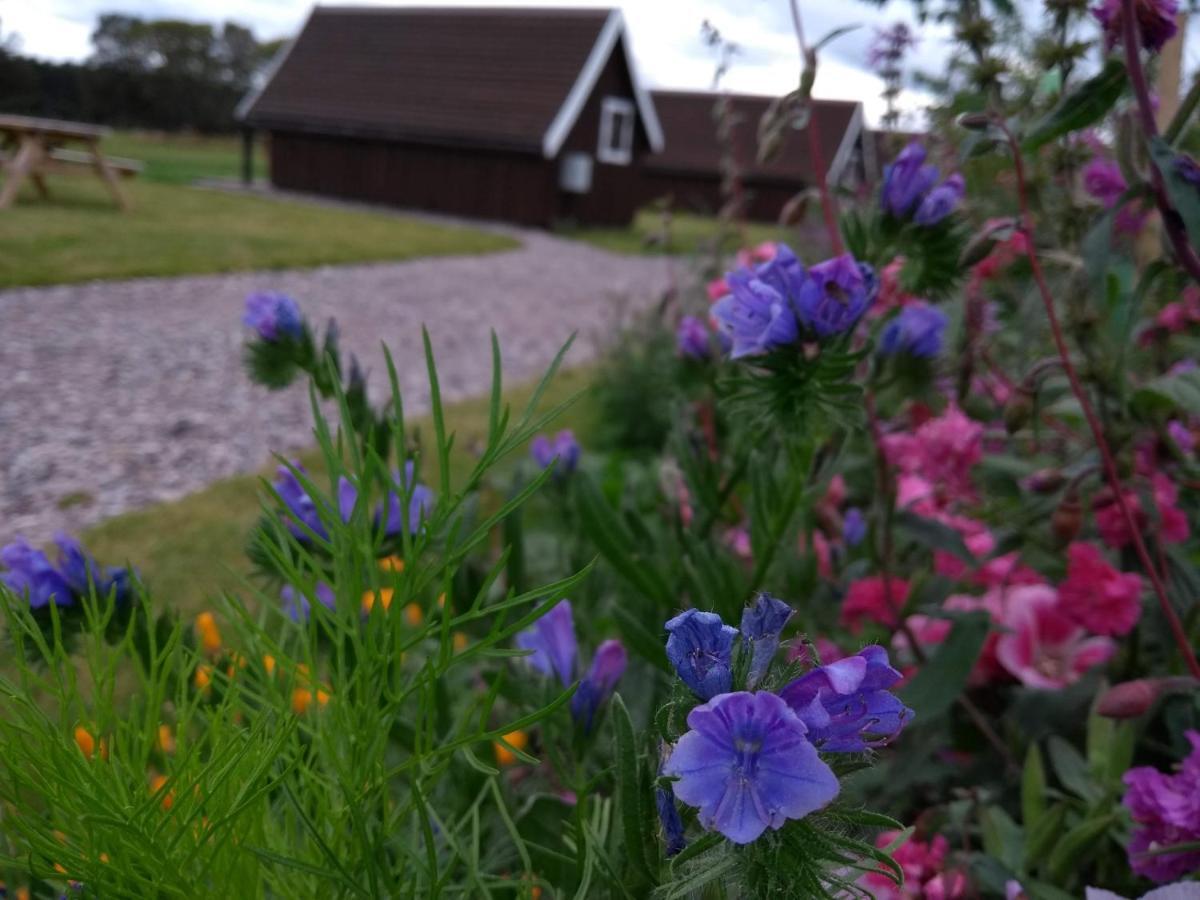 Macbeth'S Hillock Villa Forres Eksteriør billede